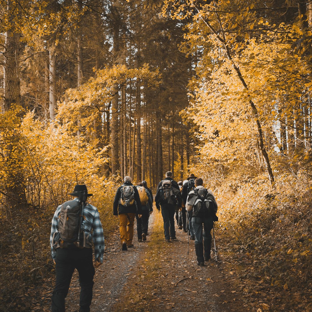 eine gruppe wanderer