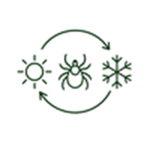 kreis_der_jahreszeiten_150x150 Zecke zwischen Sommer- und Wintersymbol als Hinweis auf ganzjährige Zeckenaktivität